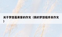 关于梦想是黑客的作文(我的梦想程序员作文)