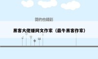 黑客大佬嫌网文作家(最牛黑客作家)