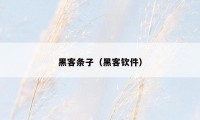 黑客条子（黑客钦件）