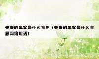 未来的黑客是什么意思（未来的黑客是什么意思网络用语）
