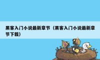 黑客入门小说最新章节(黑客入门小说最新章节下载)