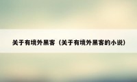 关于有境外黑客(关于有境外黑客的小说)