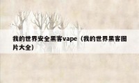 我的世界安全黑客vape（我的世界黑客图片大全）