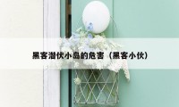 黑客潜伏小岛的危害（黑客小伙）