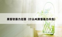 黑客软暴力犯罪(什么叫黑客暴力攻击)