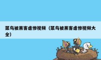 菜鸟被黑客虐惨视频(菜鸟被黑客虐惨视频大全)