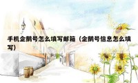 手机企鹅号怎么填写邮箱（企鹅号信息怎么填写）
