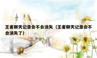 王者聊天记录会不会消失（王者聊天记录会不会消失了）