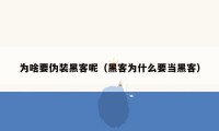 为啥要伪装黑客呢（黑客为什么要当黑客）